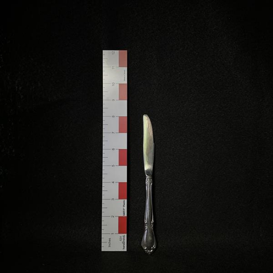 Picture of SS Dinner Knife -Heavy Serration
