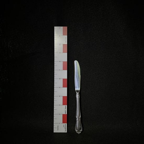 Picture of  Stainless Dinner Knife
