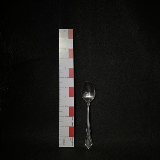 Picture of  Stainless Tea Spoon