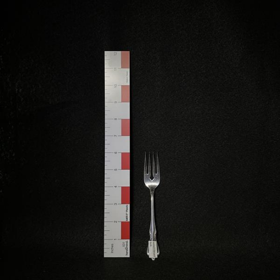 Picture of  Stainless Salad Fork