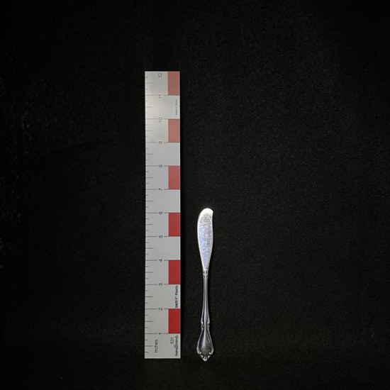 Picture of  Stainless Butter Spreader