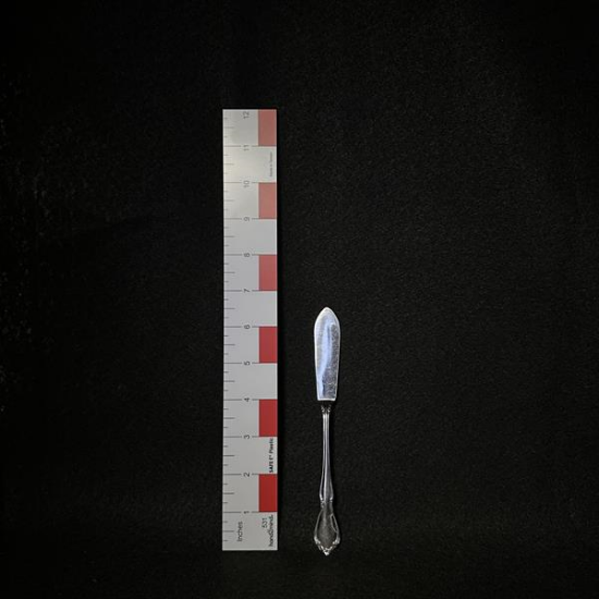 Picture of  Stainless Butter Knife