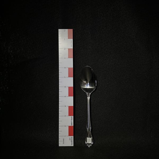 Picture of  Stainless Tablespoon