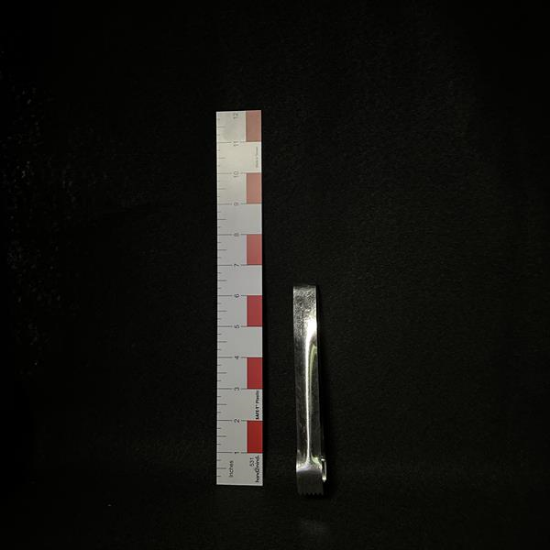 Picture of SS Pom Tongs 6"