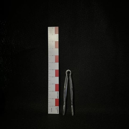 Picture of Tongs Acrylic Flat 6"