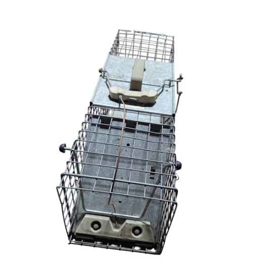 Picture of Animal Trap