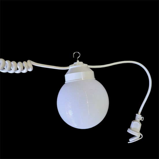 Picture of Canopy Light String 30'