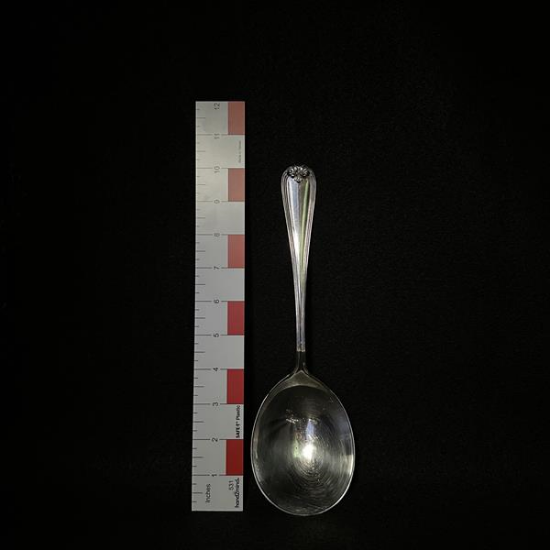 Picture of SP Solid Serving Spoon 10"